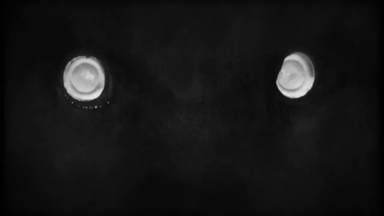 Solweig Rediger-Lizlow, miss météo de Canal +, nue dans un clip !