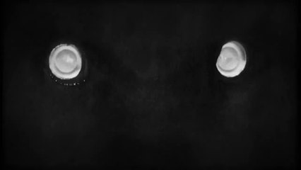 Solweig Rediger-Lizlow, miss météo de Canal +, nue dans un clip !