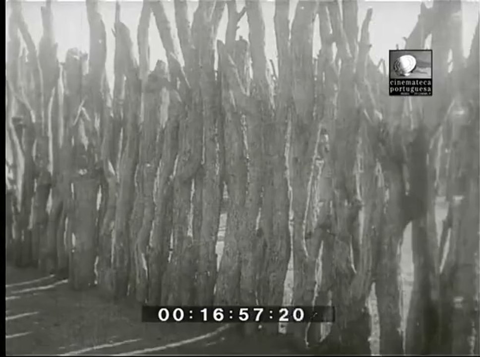 Acção Colonizadora dos Portugueses, 1932