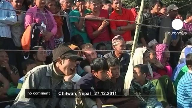 Des éléphants jouent au foot au Népal