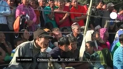 Des éléphants jouent au foot au Népal