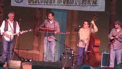 Un oiseau se pose sur la guitare d'un chanteur en plein concert
