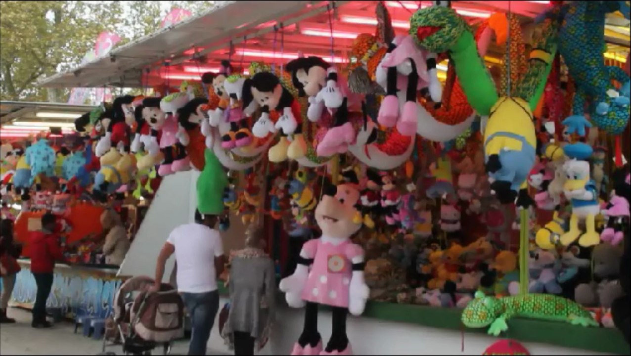 1D Orlando Concours Purebreak