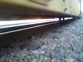 Crétin se retrouve bloqué sous un train en marche