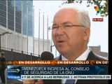 Ingreso de Venezuela a CS-ONU, reflejo de un nuevo orden mundial