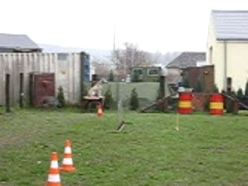 Molosse fait la piste et saute 1m80