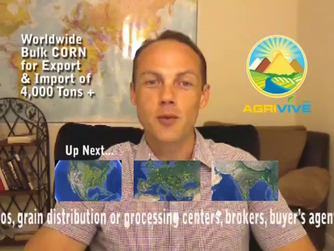 Purchase Bulk Corn, Bulk Corn, Bulk Corn, Bulk Corn, Bulk Corn, Bulk Corn, Bulk Corn
