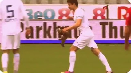 Un drôle d'invité surprise perturbe un match en Suisse