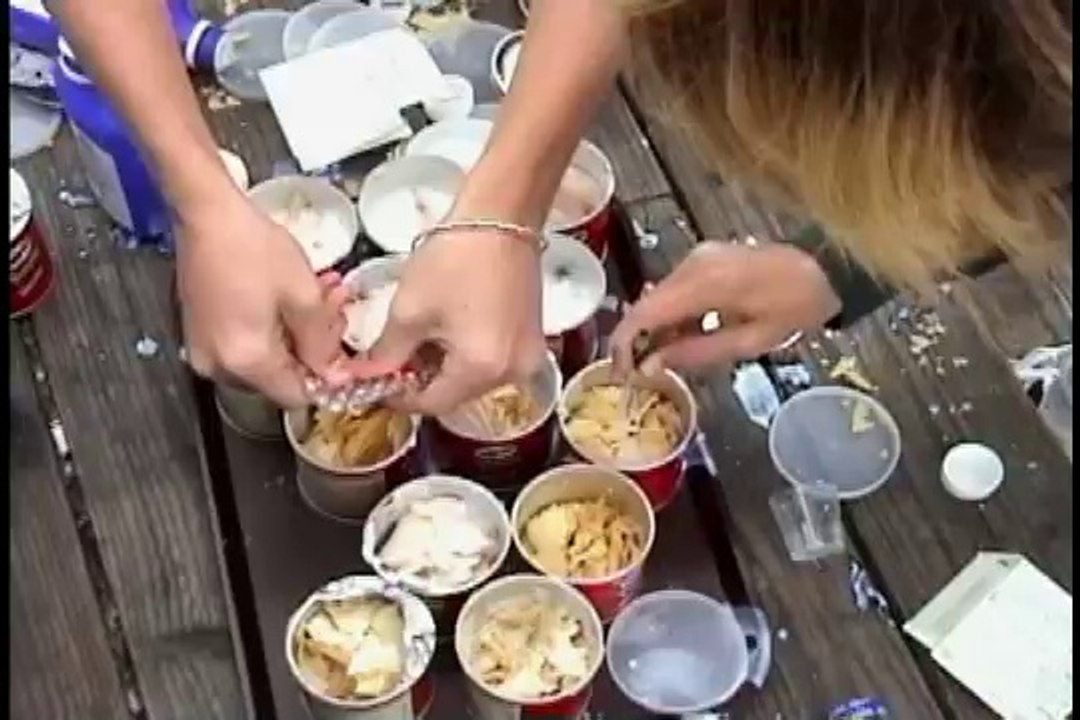 Mauvaise idée: donner des laxatifs aux mouettes