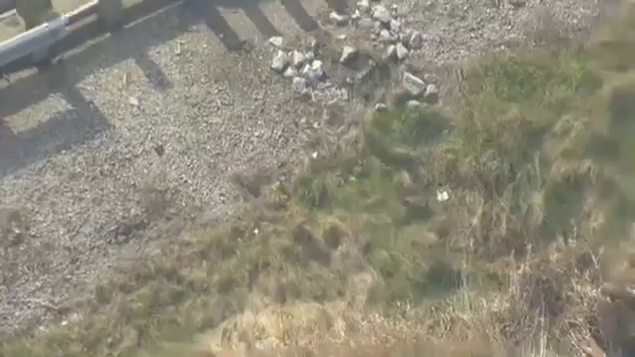 Une cane et ses canetons traversent une autoroute