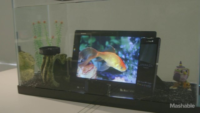 First Look at Sony Xperia Z3v