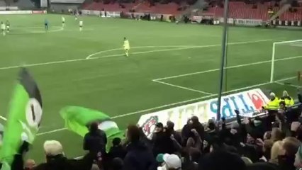 Des supporters suédois fêtent un but imaginaire