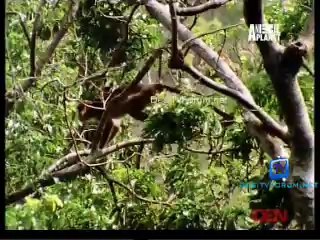 Be The Creature 16th October 2014 Video Watch Online pt2