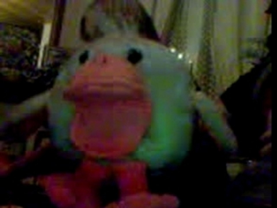 Canard2