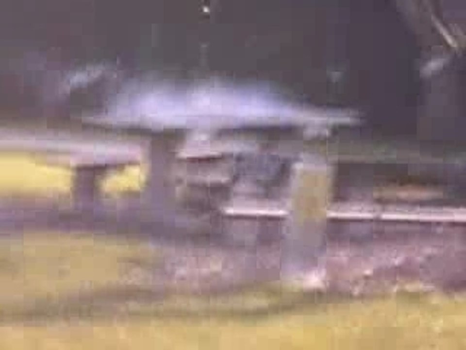 Explosion JACKASS JUNIOR