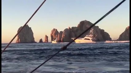 Los Cabos Billfish Tournament Day One