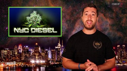 NYC Diesel and The Studio Gets Robbed