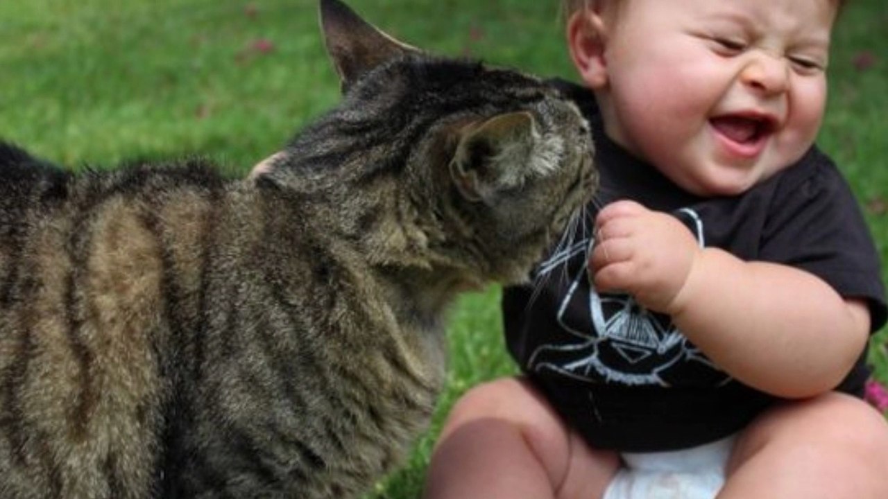 Her gün YeNideN doğar güneş