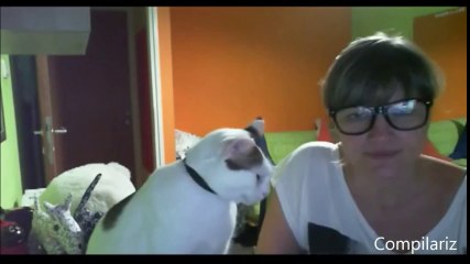 Kendini Zorla Sevdiren Kediler