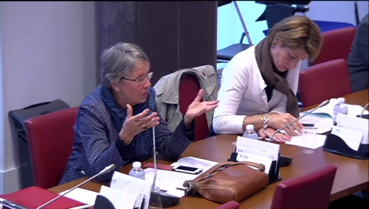 Audition de Mme Dominique Meda, inspectrice générale des affaires sociales - Jeudi 16 Octobre 2014