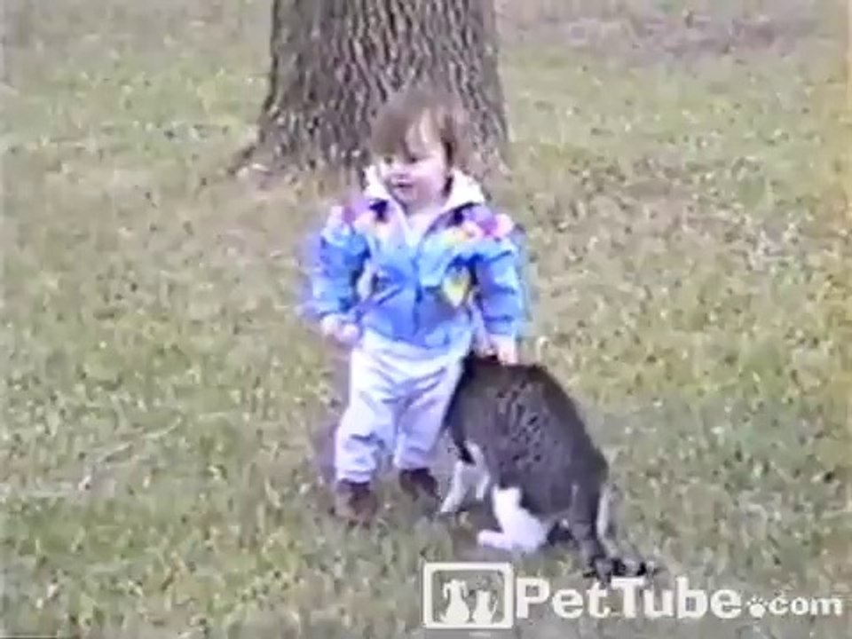 Cat Bumps Baby - Video Dailymotion_2