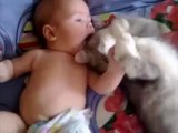 Cute cat loves baby - from funny and cute cats and babies collection - Video Dailymotion