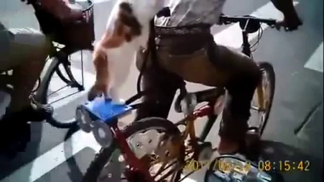 Funny Cats Compilation - Funny Cat Videos Ever- Funny Videos - Funny Animals - Funny Animal Videos 5