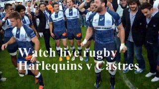Watch Harlequins vs Castres Live Online