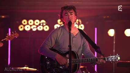 Alcaline, le Mag : Jean-Louis Murat - Blues du Cygne