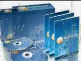 Forex Bonus Bagging