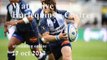 Live Rugby Harlequins vs Castres