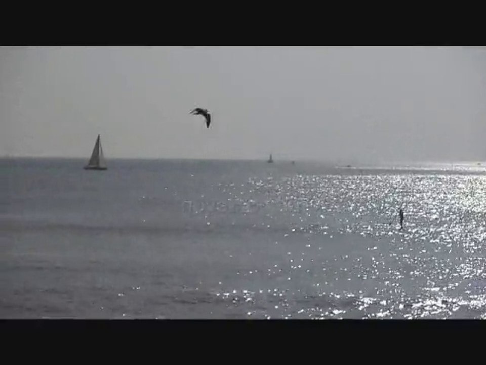 Plage vagues paddle surf - Tourisme bord de mer