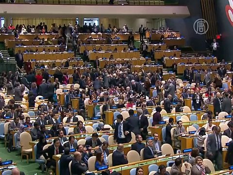 В Совбез ООН выбрали пять новых членов