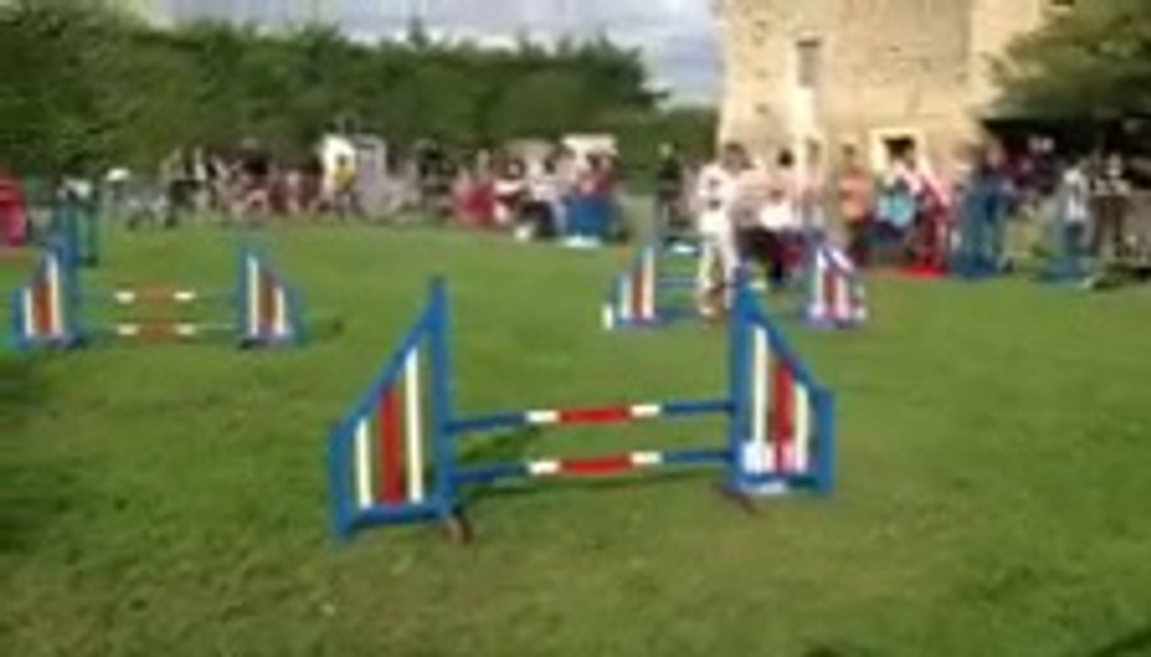 Lion premier concours