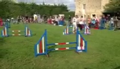 Lion premier concours