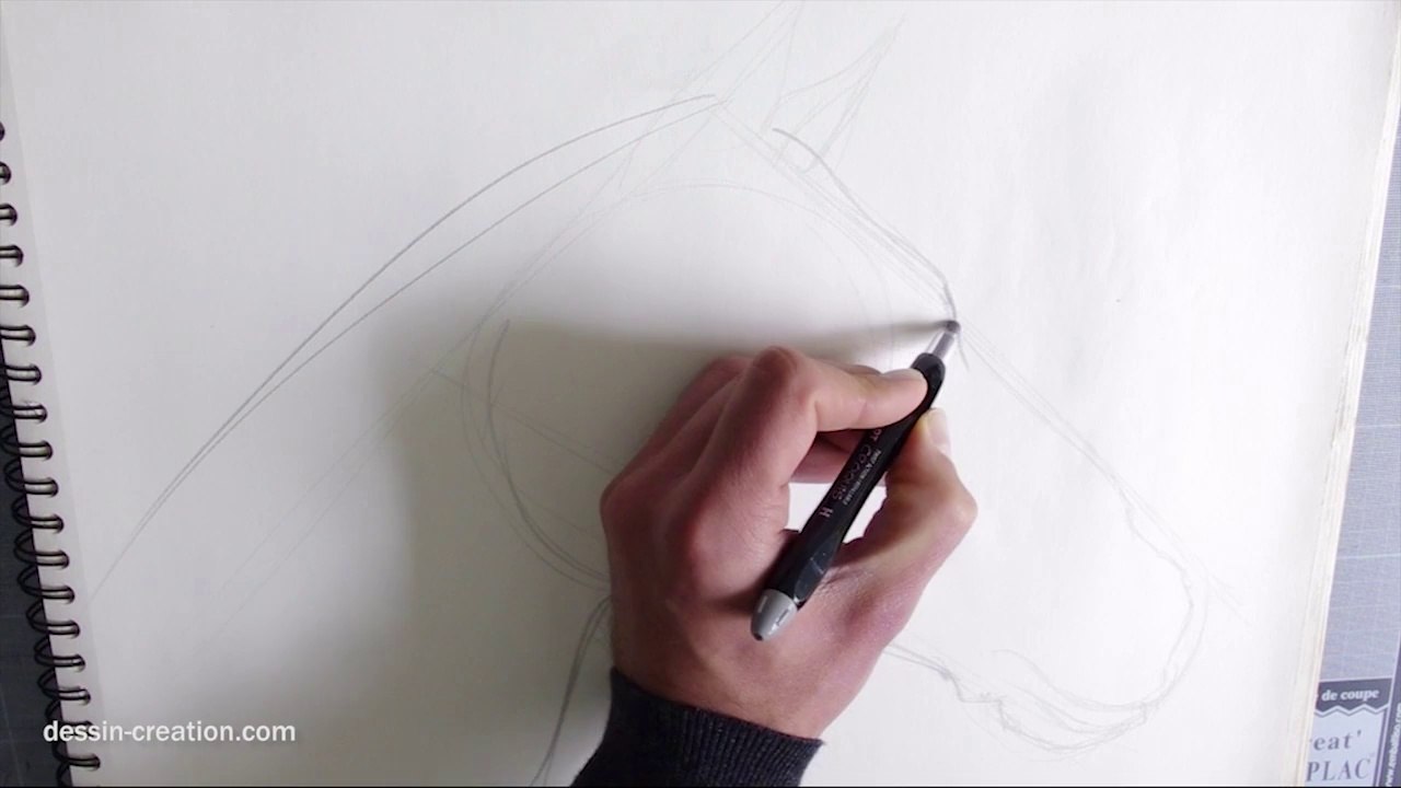 Comment dessiner un cheval-partie1