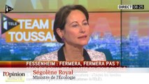 La phrase du jour : Emmanuelle Cosse, « Fessenheim fermera »