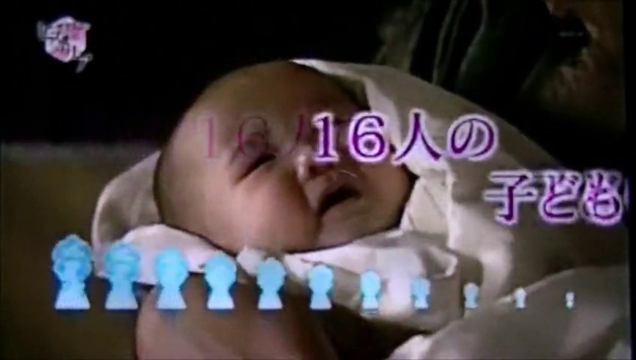 歴史 秘話 ヒストリア　家康と　カレの息子たち　NHK