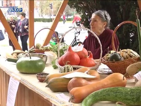 Međunarodni sajam Zdravo, domaće, prirodno , 17. oktobar 2014. (RTV Bor)