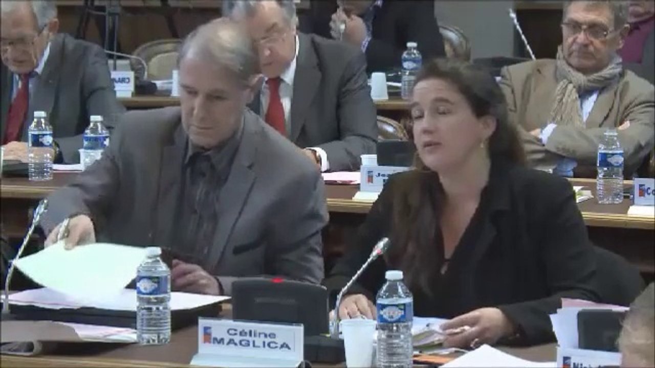 Céline MAGLICA. Dépenses pour les collèges. Session du 17 octobre 2014.