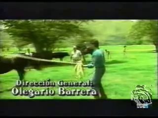 pura sangre momentos