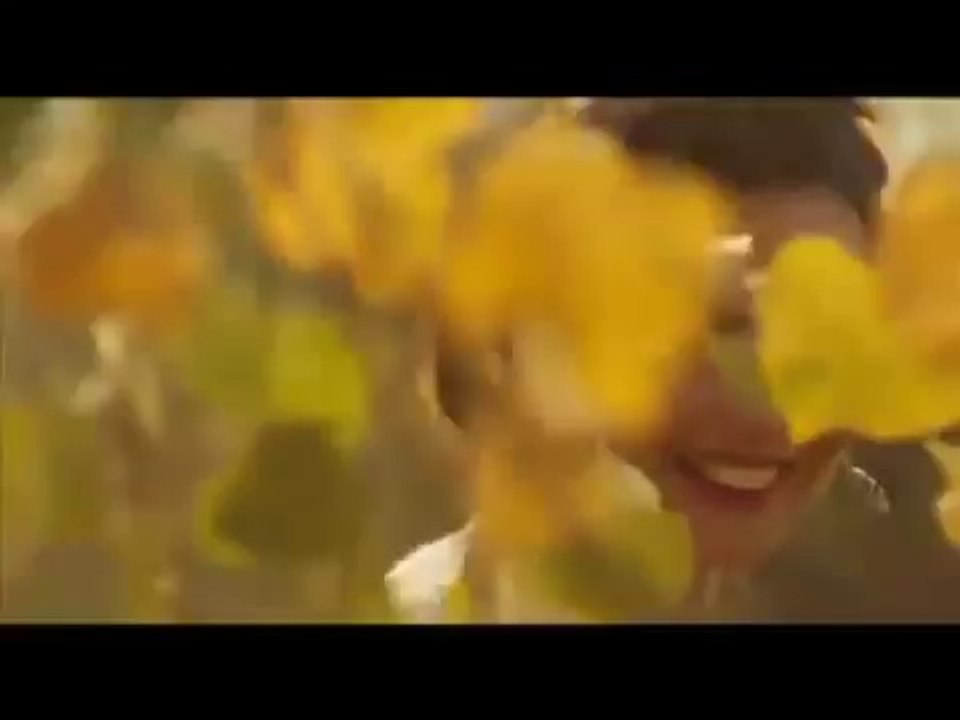 Zdravko Colic - Poplava