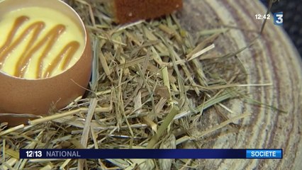 La cuisine du futur s’expérimente partout de l’école au laboratoire