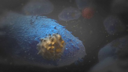 كيف يهاجم فيروس ايبولا جسم الانسان