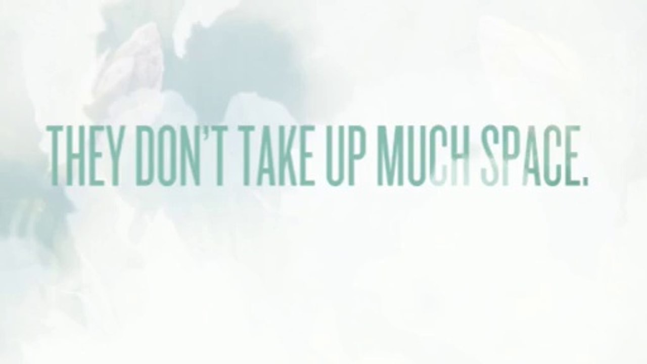 Ductless Heating and Cooling (Heating and Air Conditioning).