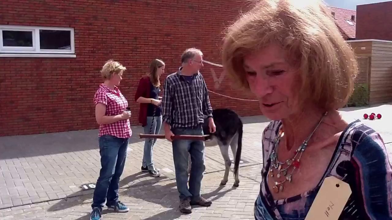 Open Dag CW De Stam Tilburg