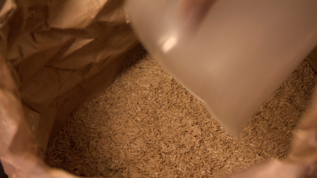 Brewing Vinland Two