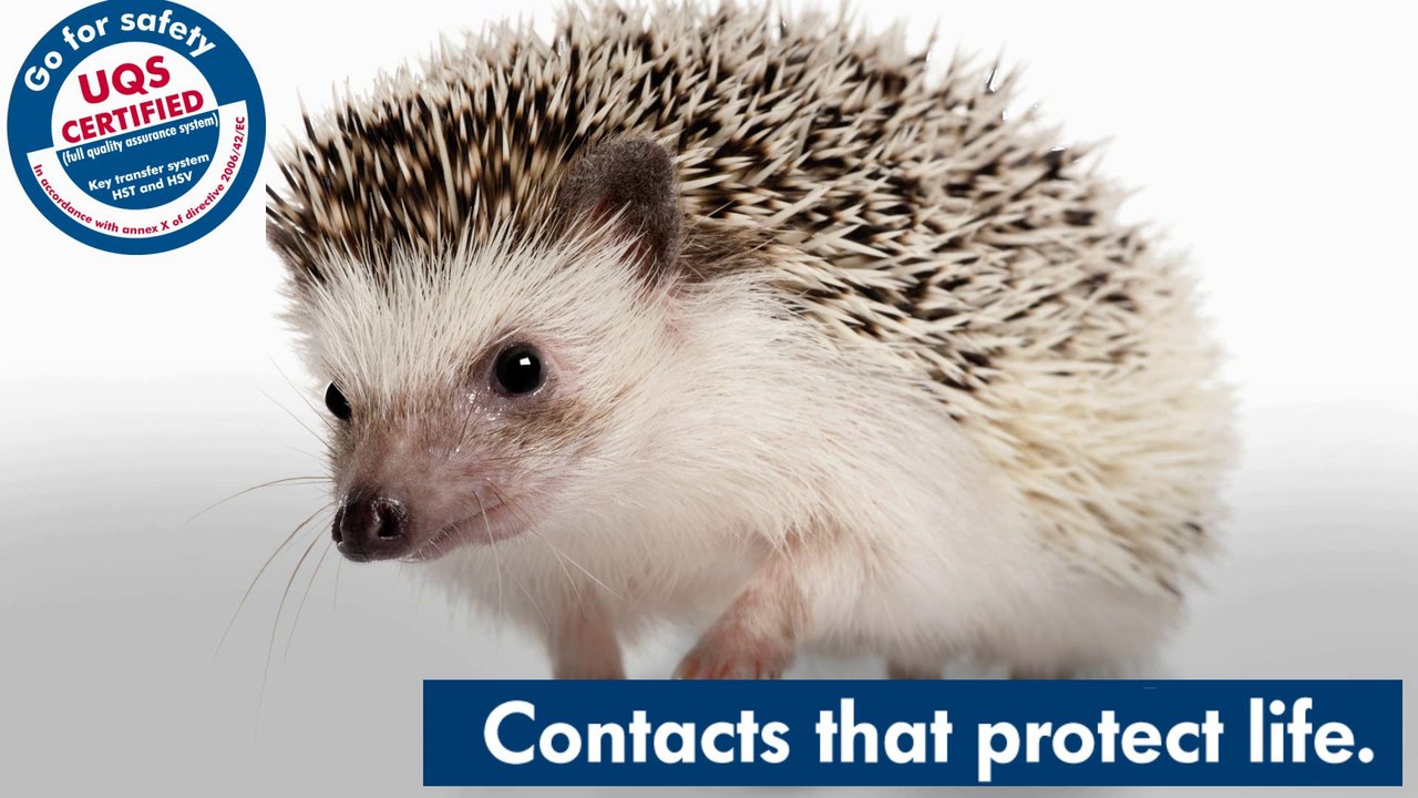 Haake Technik presents: logic safety sequence by a key change station