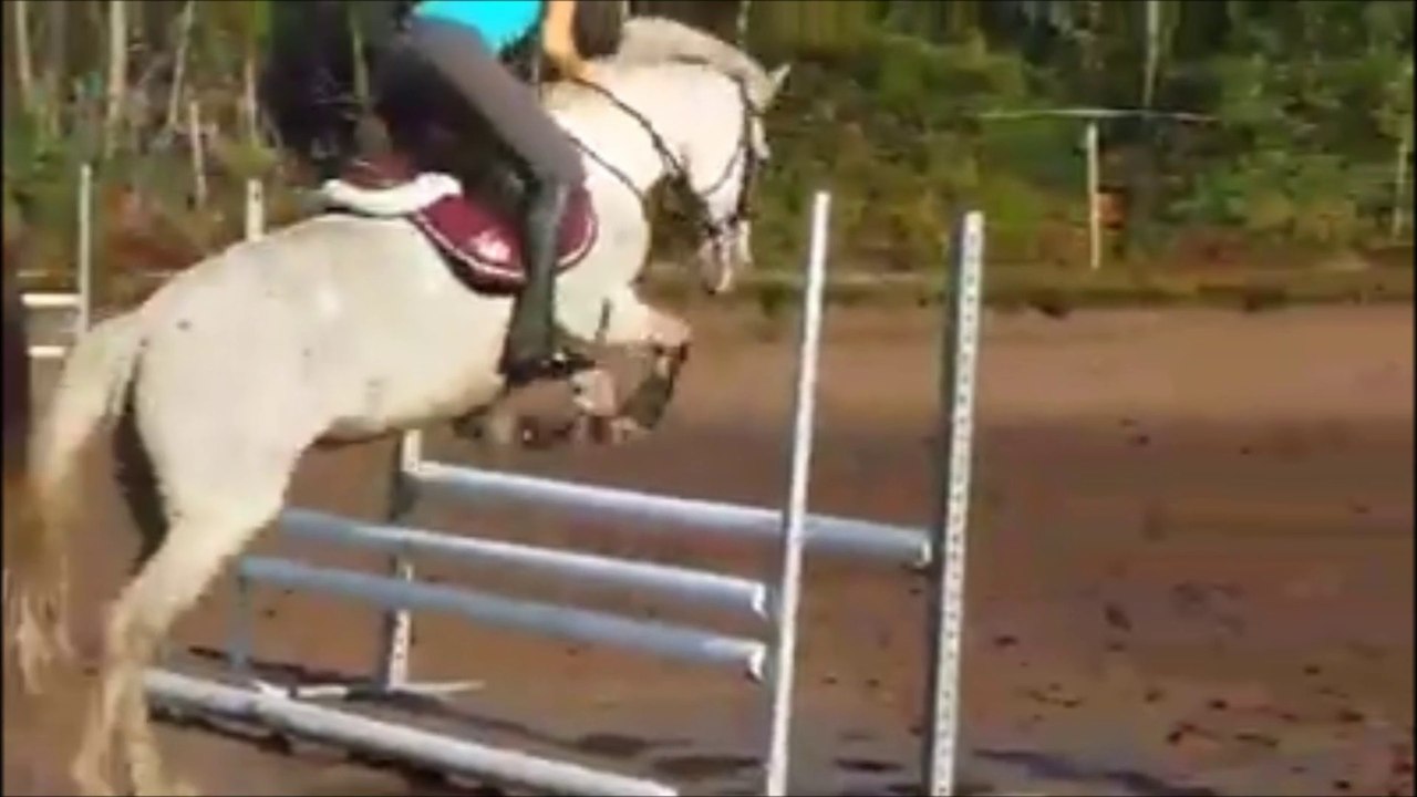 1er essai Iris