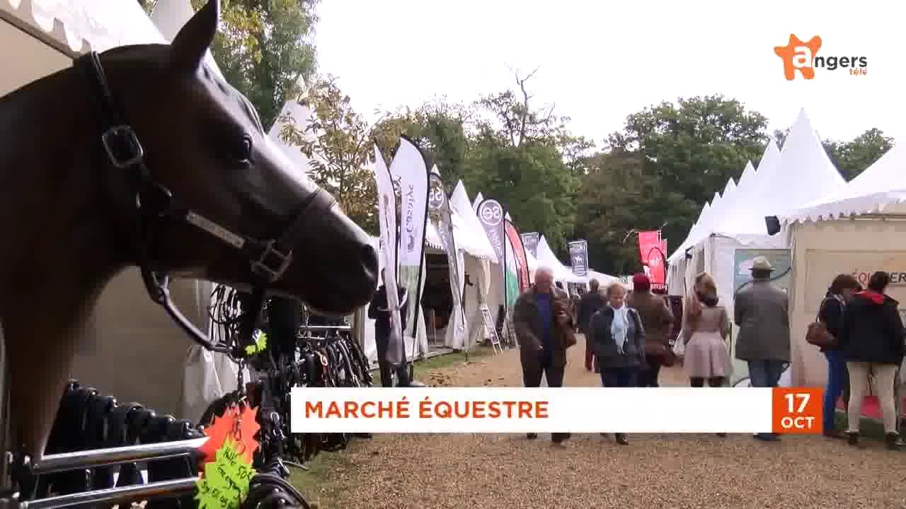 JT OCTOBRE 2014 [S.10] [E.17] - Le Journal du vendredi 17 octobre 2014